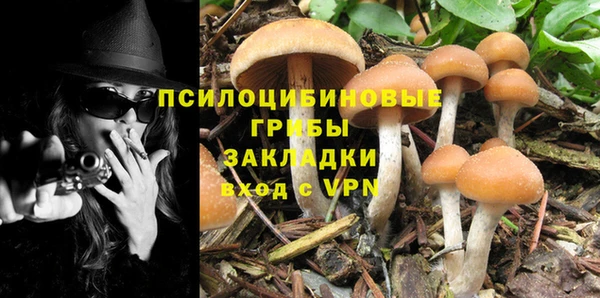 прущий лед Каменка