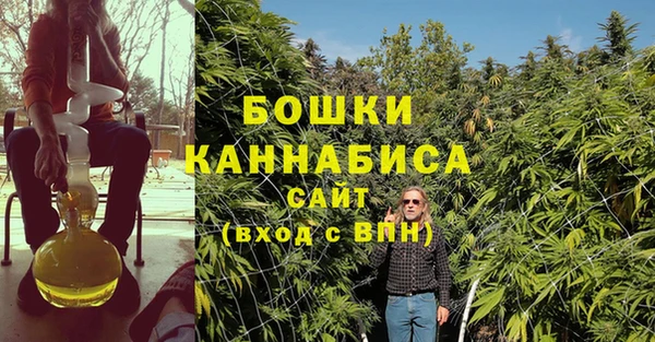 прущий лед Каменка