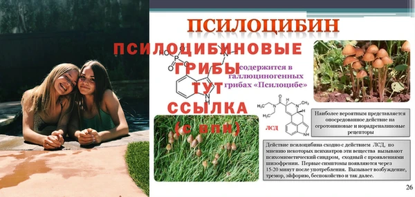 крисы Каменск-Шахтинский